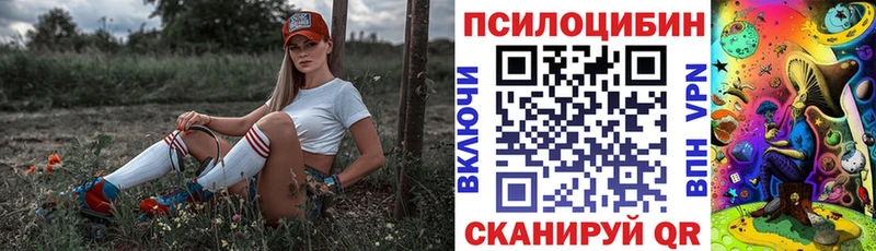 Купить  Шарыпово  Псилоцибиновые грибы Magic Shrooms 