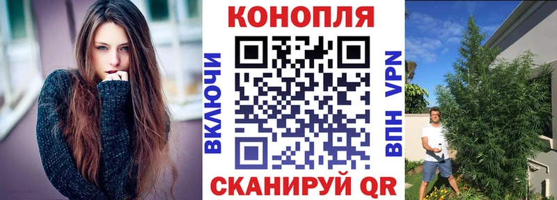 Марихуана сатива  Купить где  Шарыпово 